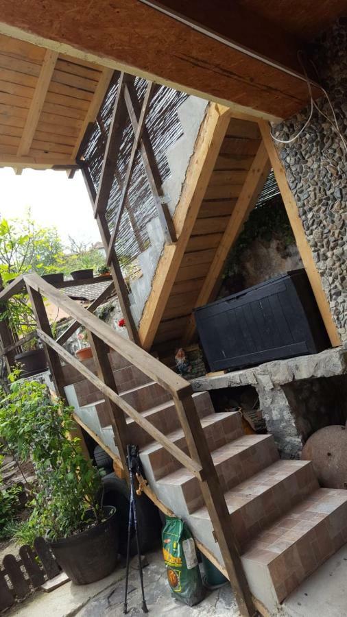Casa De Oaspeti Dunarea La Cazane Dubova Exterior foto